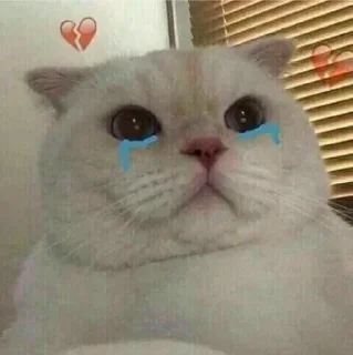 😭