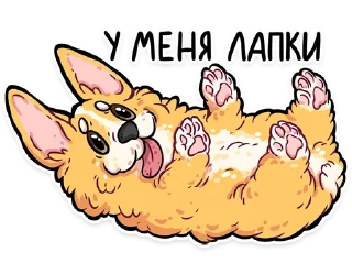 🐾