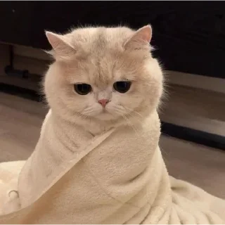 ☹️