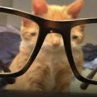 😑
