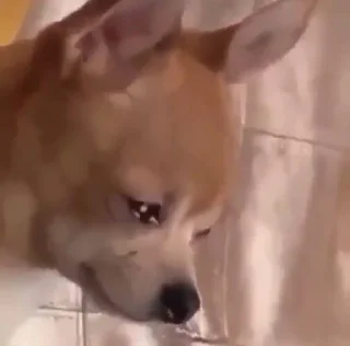 🥺