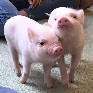 ❤️
