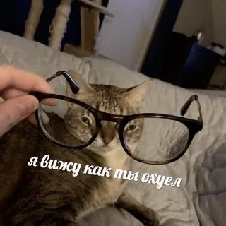 👀