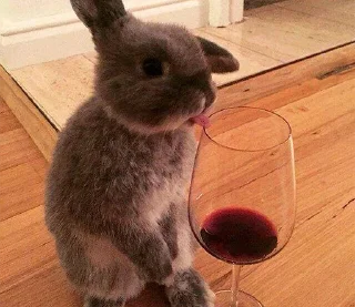 🍷