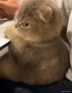 😡
