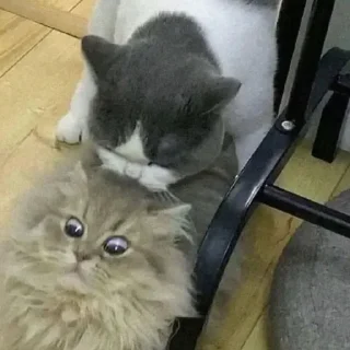 😬