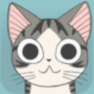 🐱
