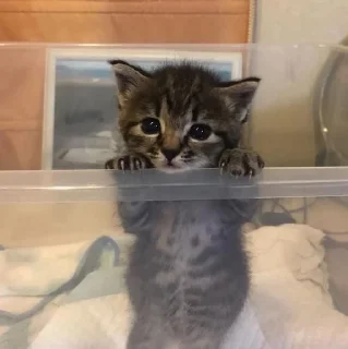 ☺️