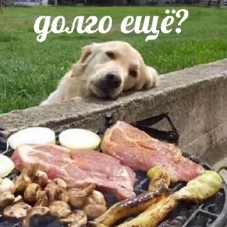 ⏱