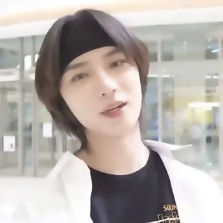 🐻