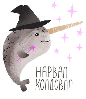 lovely narwhal