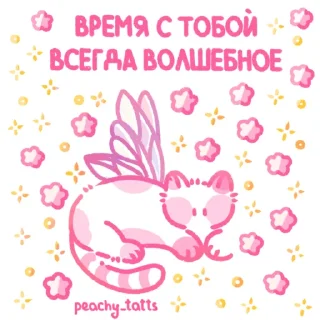 🐈