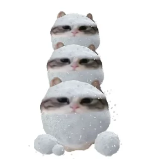 ☃️