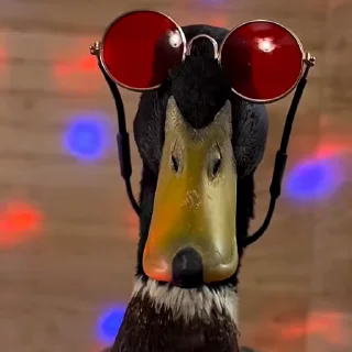 🥳