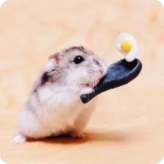 🍳