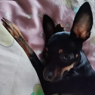 😳