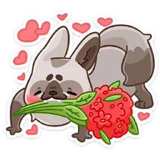 ❤️