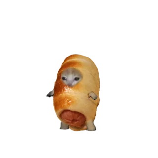 🌭