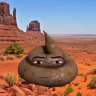 💩