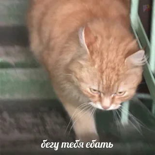 🤍