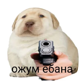 🤫