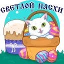 🐣
