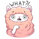 😨