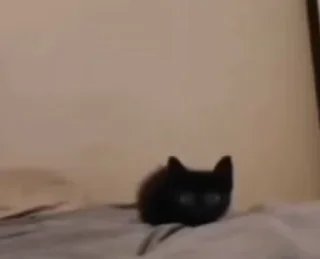 👀
