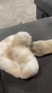 😡