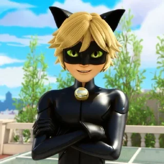 🐈‍⬛