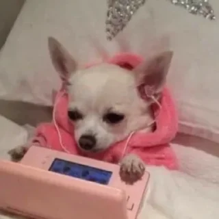 😎