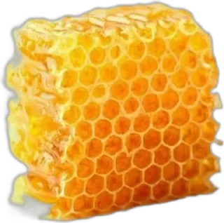 🌟