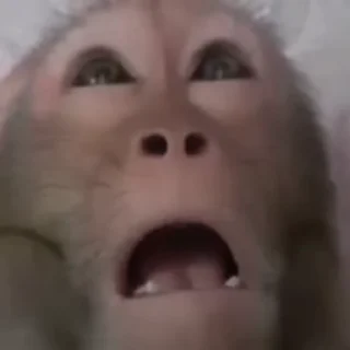 😮