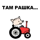 🐷