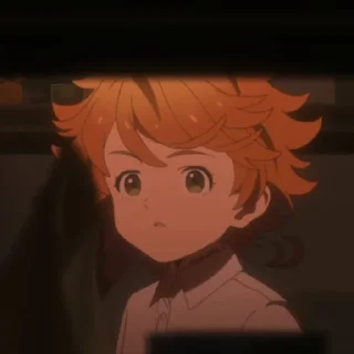 ✨