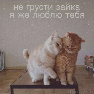 🧡