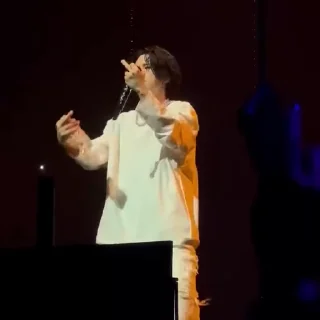 🌟
