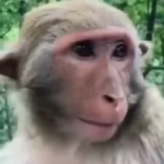 😜