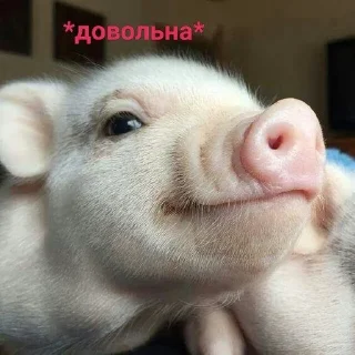 💋