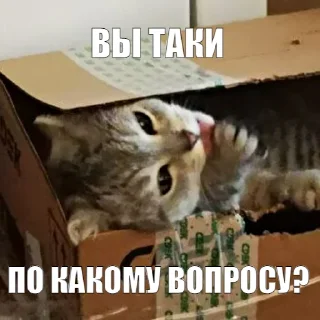 🤔