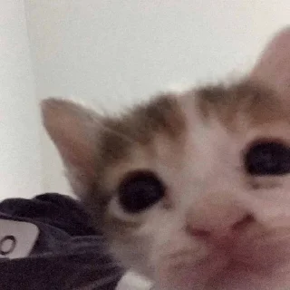 😳