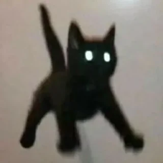 😱