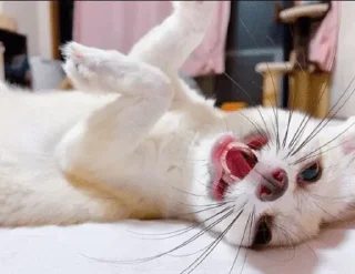 🙃