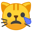 😿