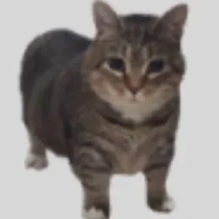 🤯
