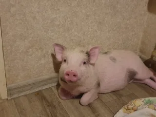 ☺️