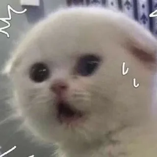 😳