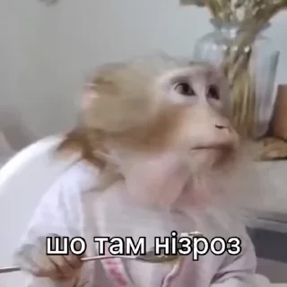 👀