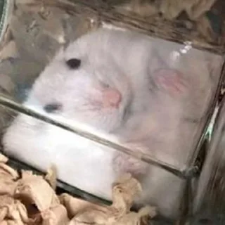 😐