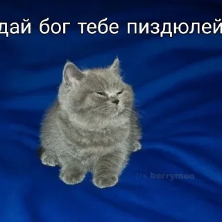 😊